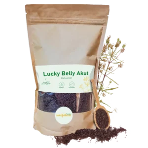 Lucky Belly Akut - Flohsamen